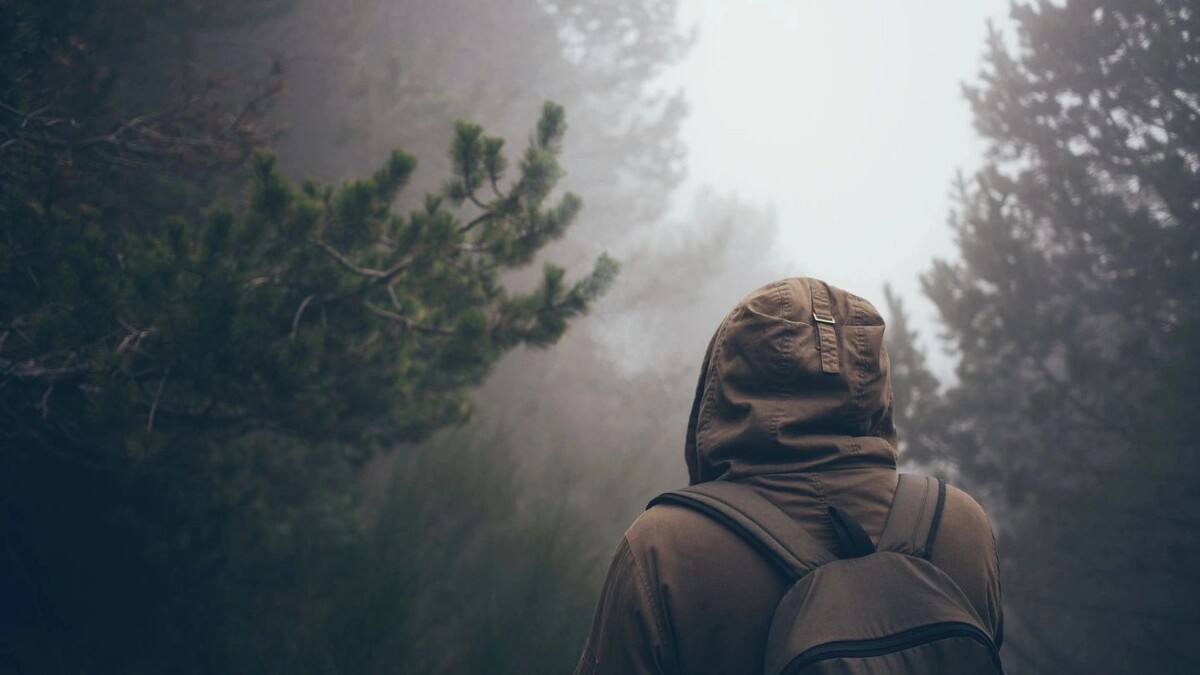    Спасатели и волонтеры вторую неделю не могут найти семью Усольцевых. Фото: Veera / Shutterstock / Fotodom