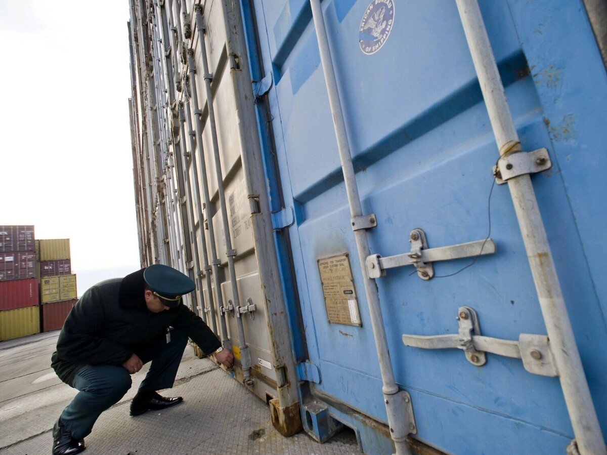 Запчасти или зеленый горошек?. Фото: ITAR-TASS. newizv.ru