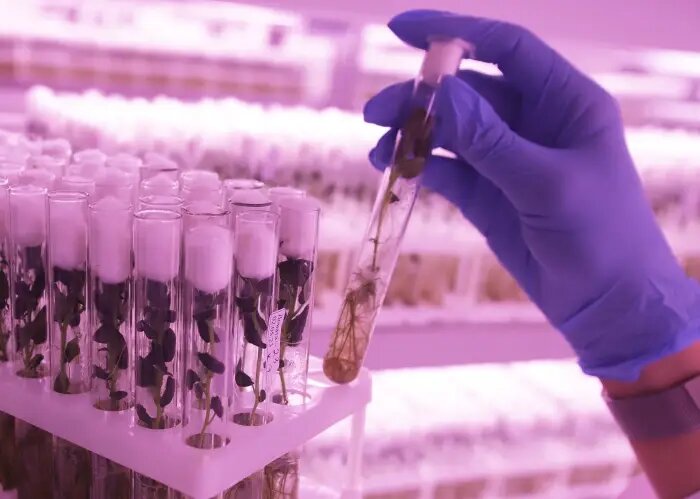     © РИА Новости. Денис Абрамов