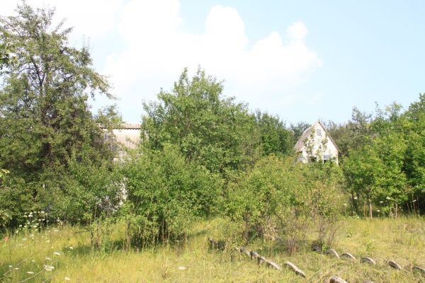    Фото: Алексей Чухланцев