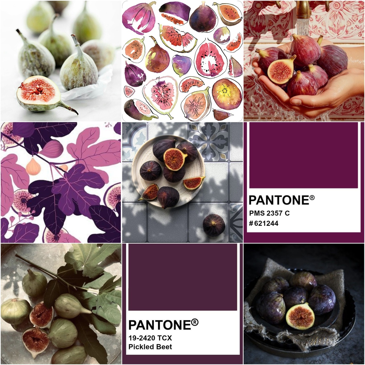 1. Инжир. Иллюстрации из открытых источников. Коллажи авторские.