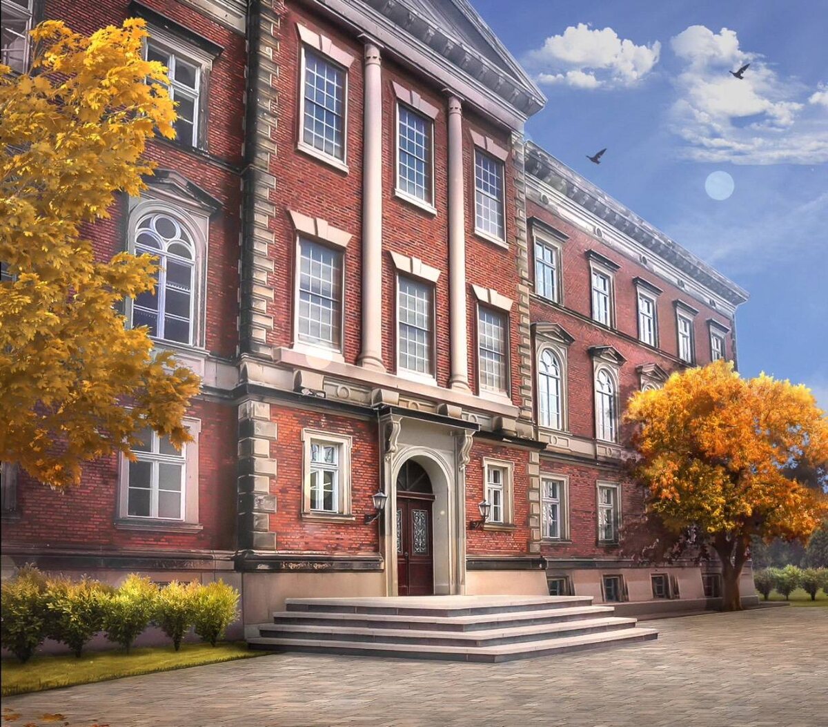 Университет, где работала Софи