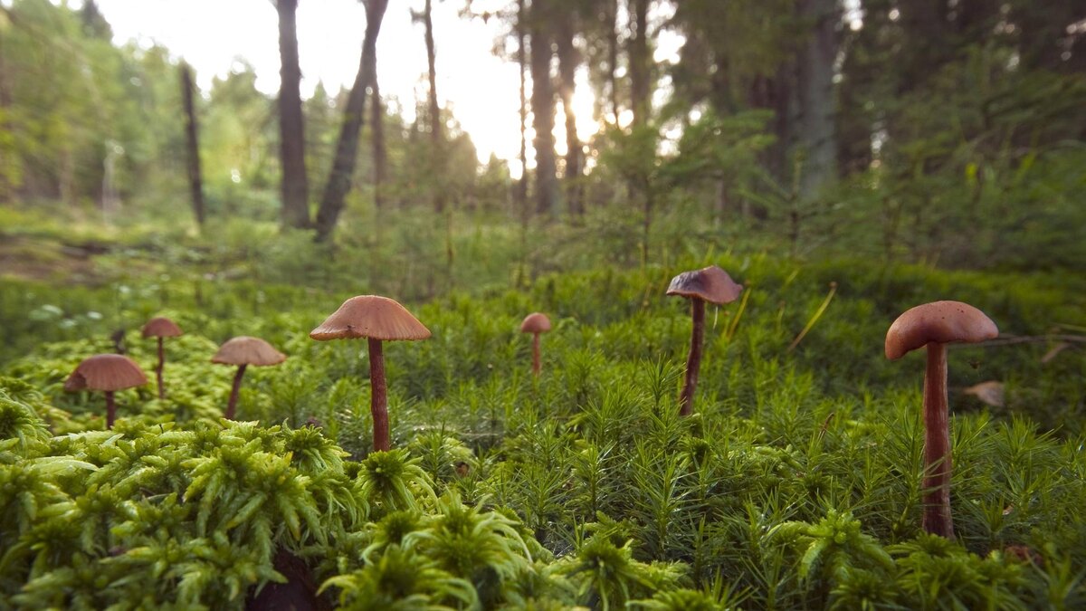    Фото: J. Fieber/globallookpress.com