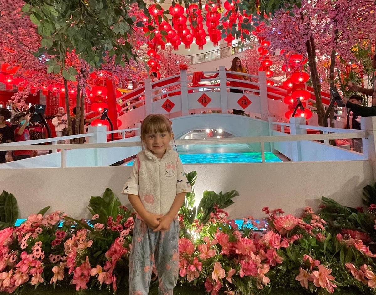 Украшения в ТЦ Малайзии на Китайский Новый год