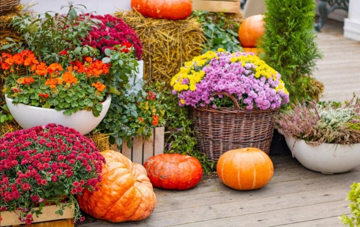 Фото: Osterenko Daria / freepik.com