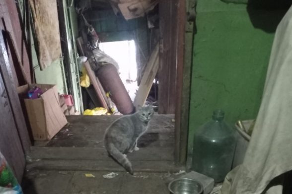 Фото сообщества «Счастливые подобрашки».