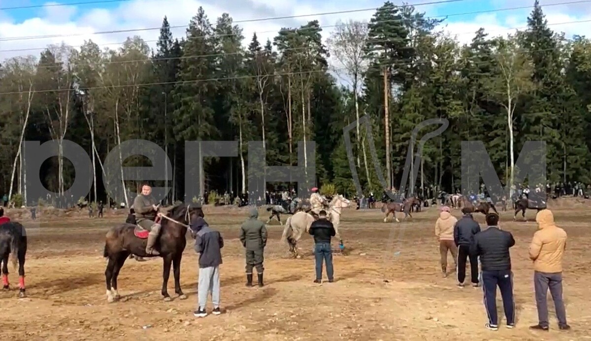     / Источник: Кадр из видео