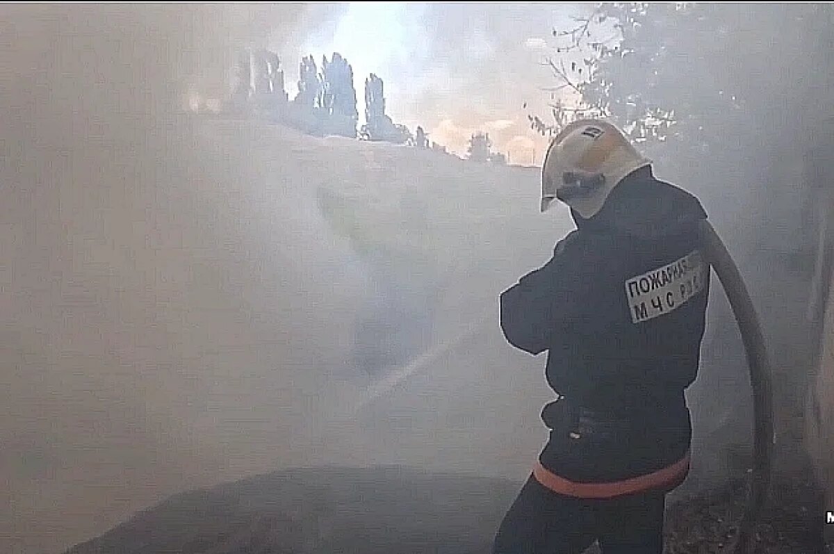    За Волгой в мощном пожаре горит пойма: дым накрыл Волгоград