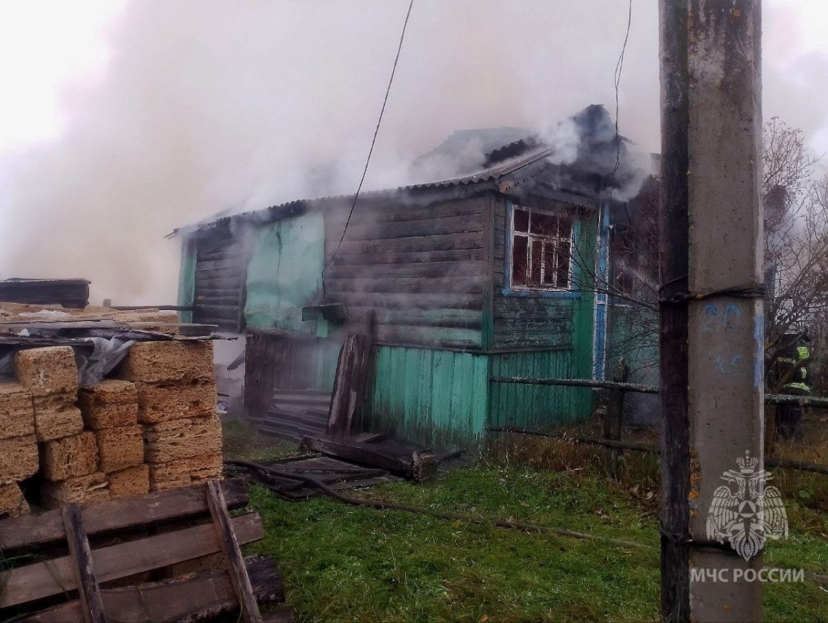    Трагедия произошла в деревне Линейка Вознесенского округа