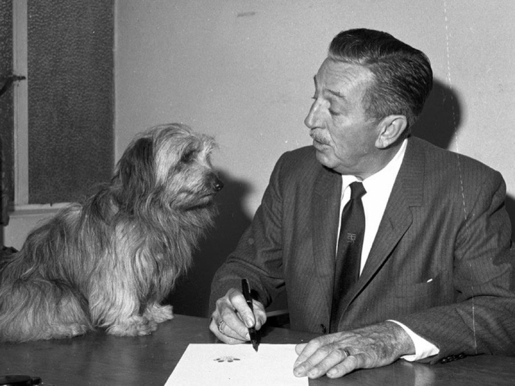 архивные кадры Уолта Диснея с собаками разных пород