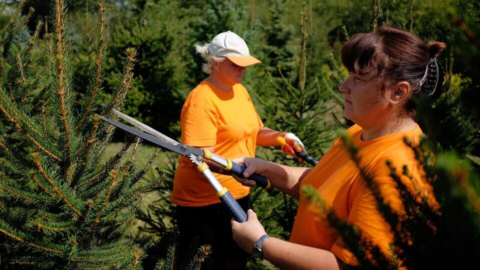 Фото: © РИА Новости/Николай Хижняк