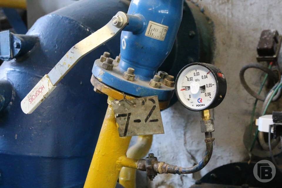    фото: Матвей Горбунов / "Городские вести"