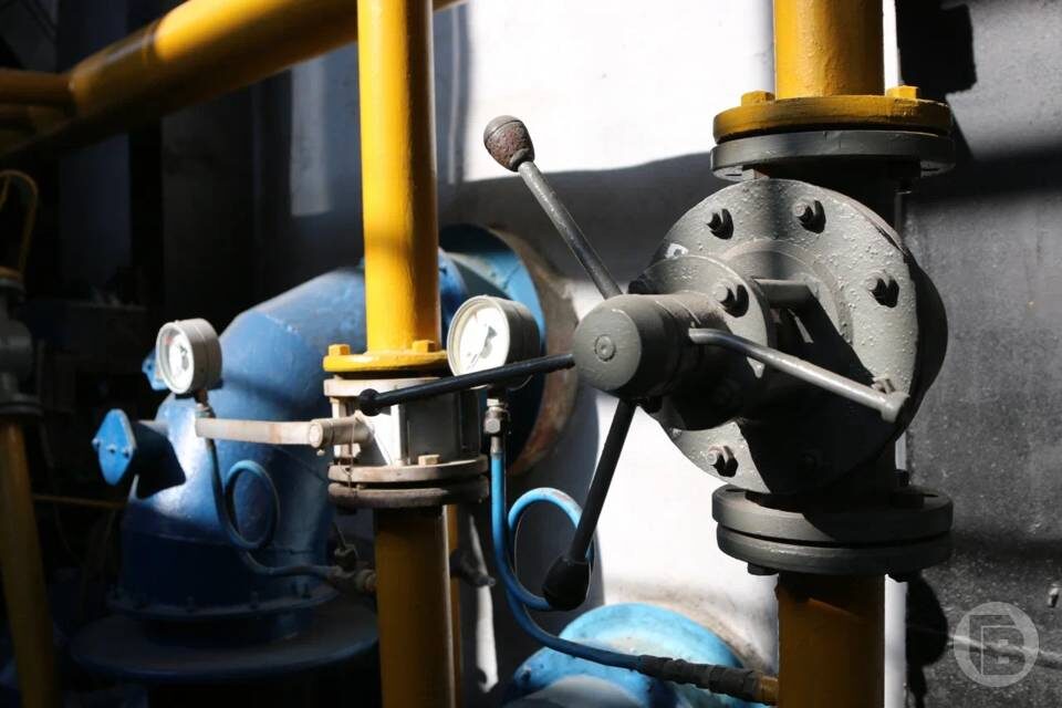    фото: Матвей Горбунов / "Городские вести"