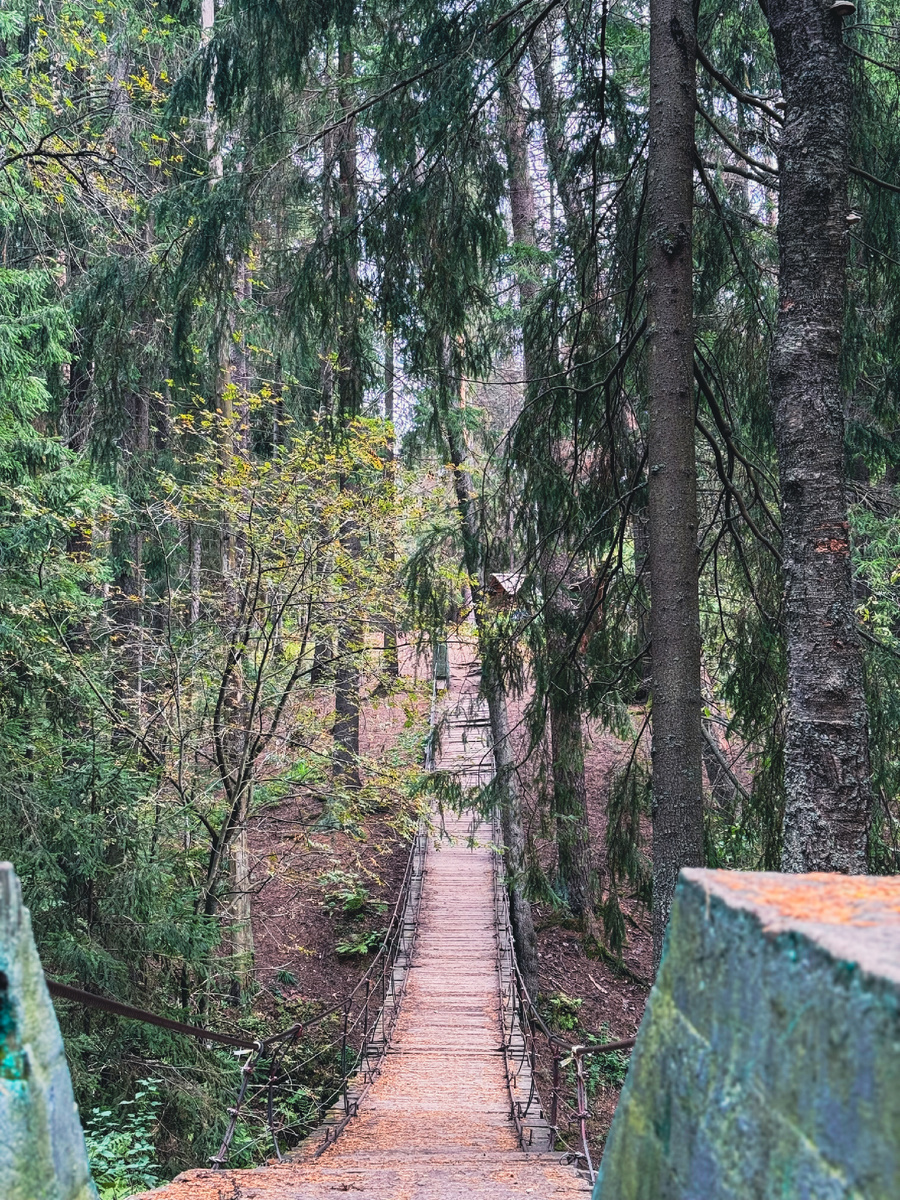 Тропа "Лесные сказки": Чёртов мост, автор фото – Екатерина Юшина