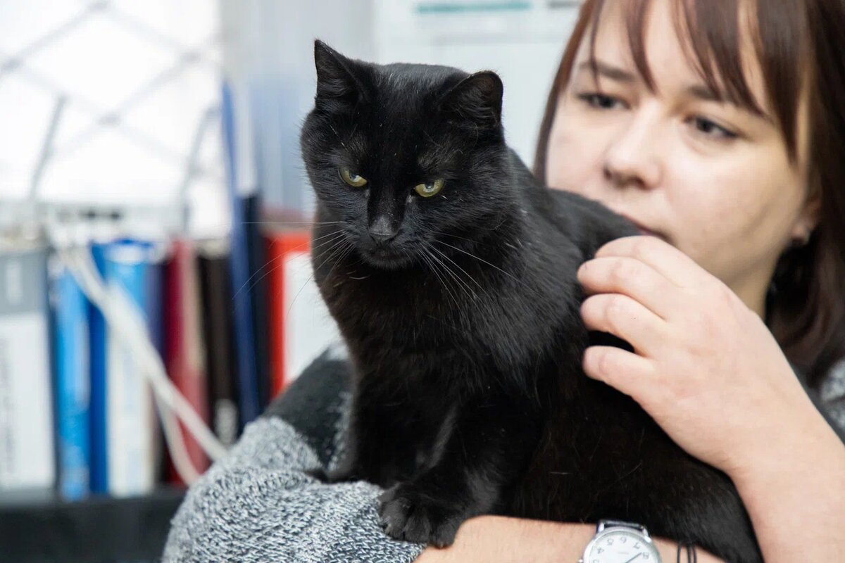 Фото: Тульская служба новостей