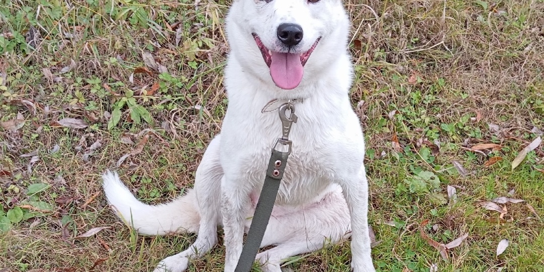 Умка - маленькая девочка, мечтает о домашнем уюте