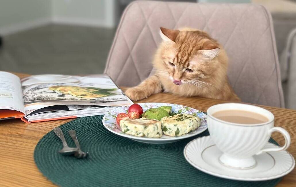 Вот и Кот не против выпить кофейку под сырный сырничек из нашей «Осознанной кулинарии». Молочного кофейку – истинно по-кошачьи. 