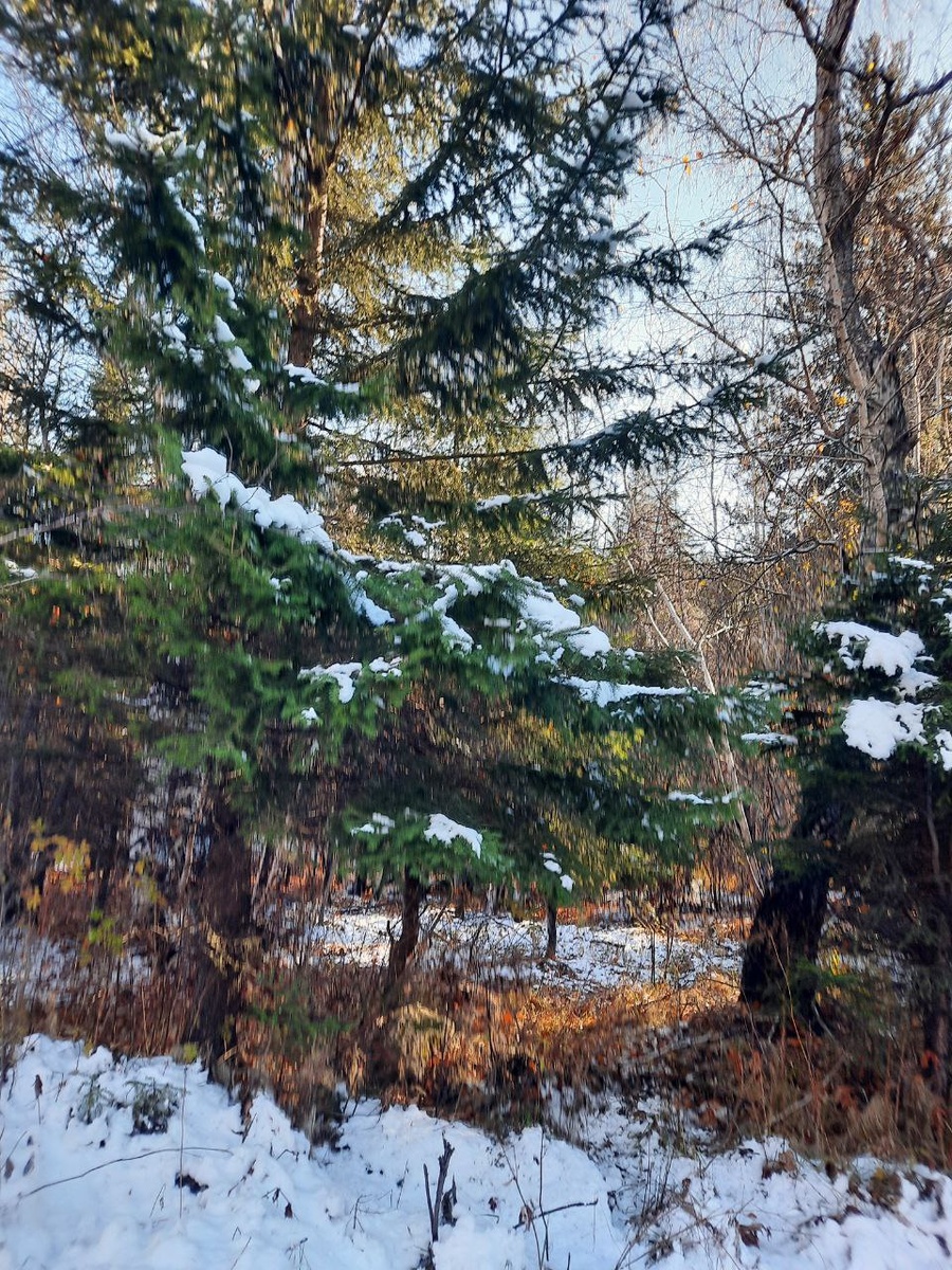 Фото автора.