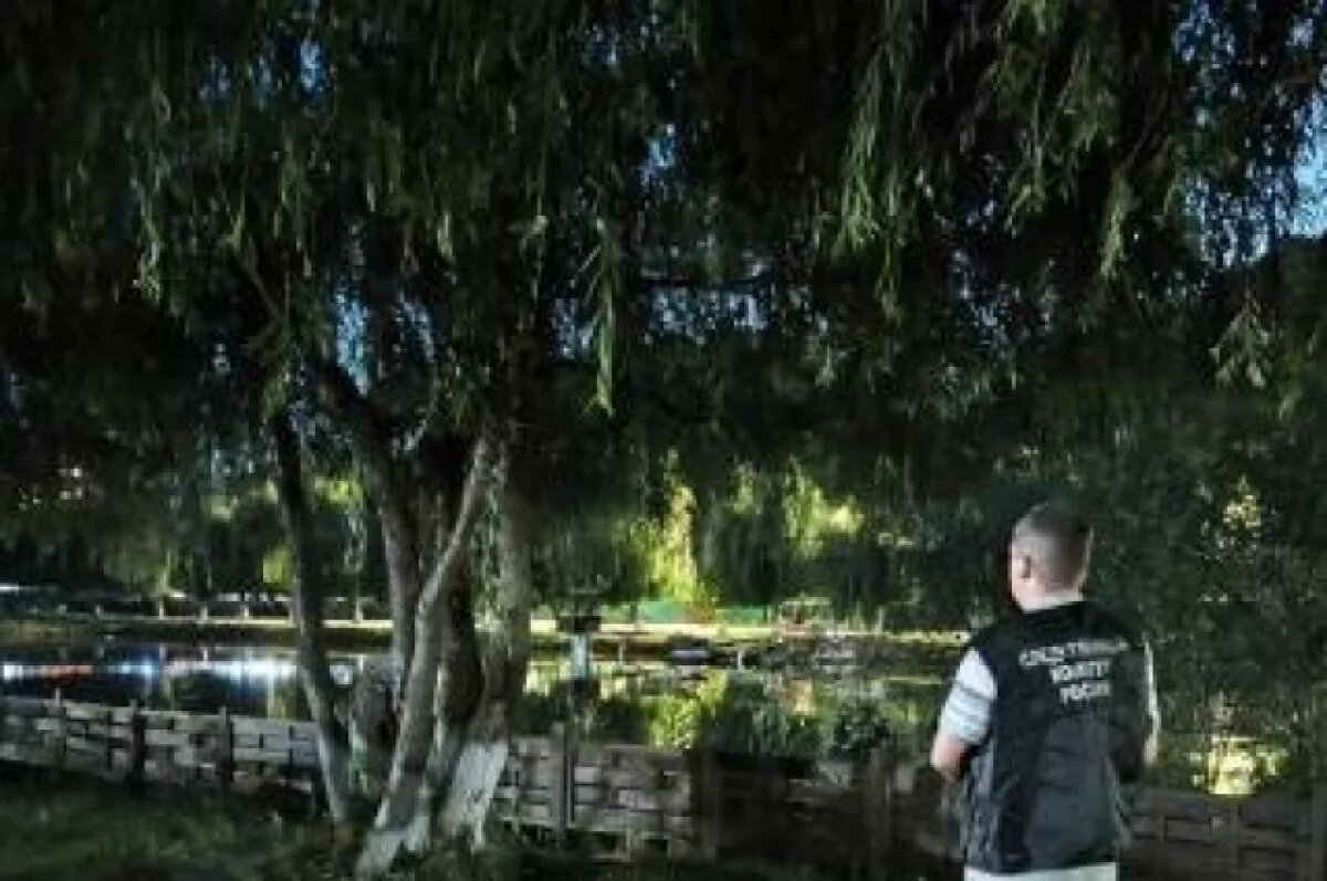    Арендатора водоёма будут судить за смерть девочки на базе отдыха в Воронеже