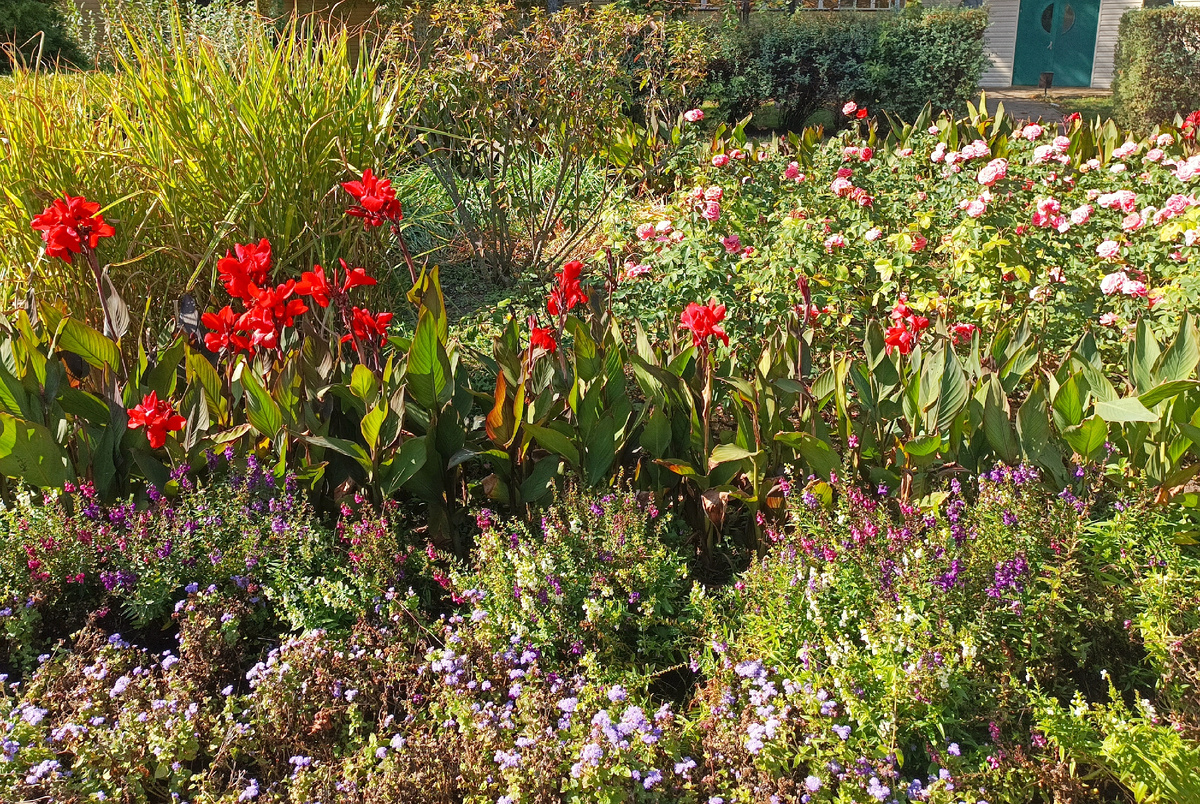 Клумба в парке