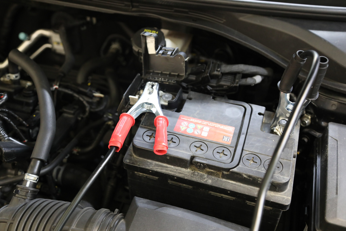 Фото: Роман Пименов / «Петербургский дневник»