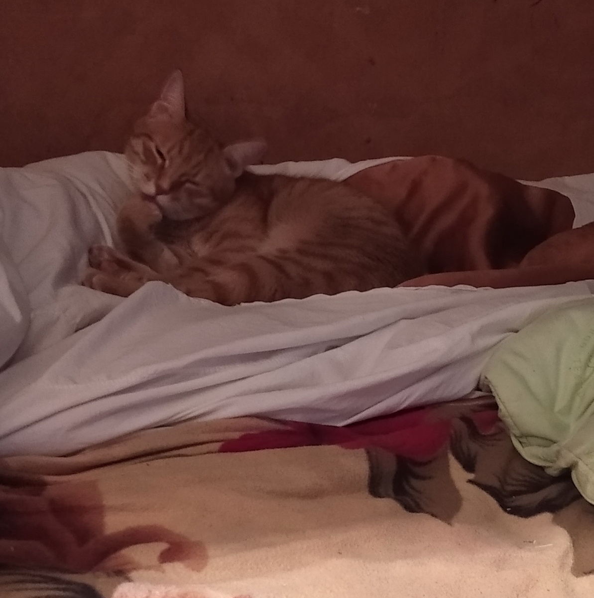 личное фото