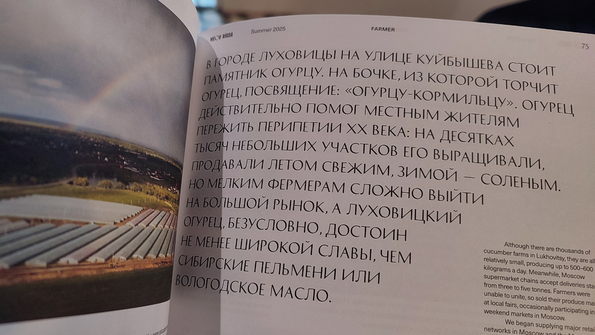 Здесь про памятник огурцу