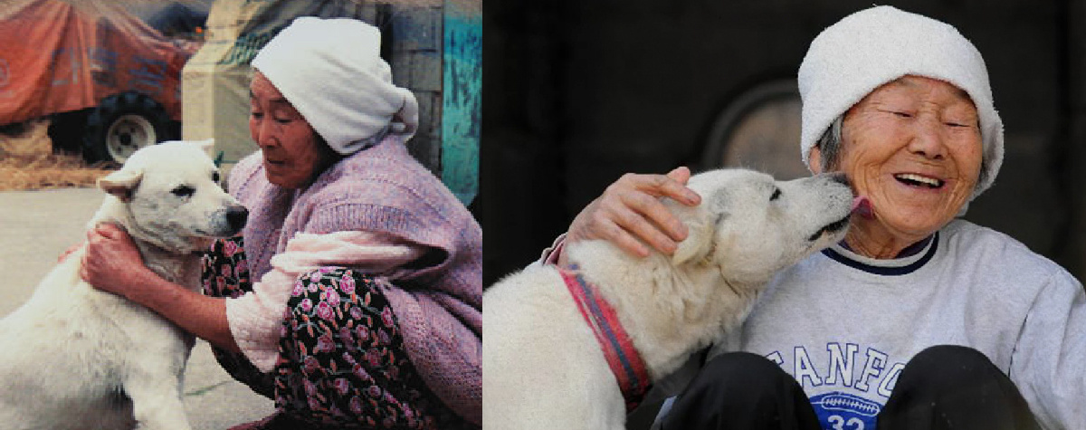 верная Баекгу со своей хозяйкой