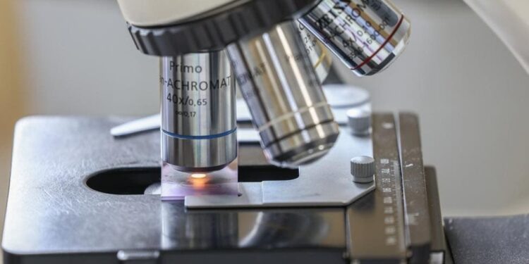    Сергей Булкин/ ТАСС