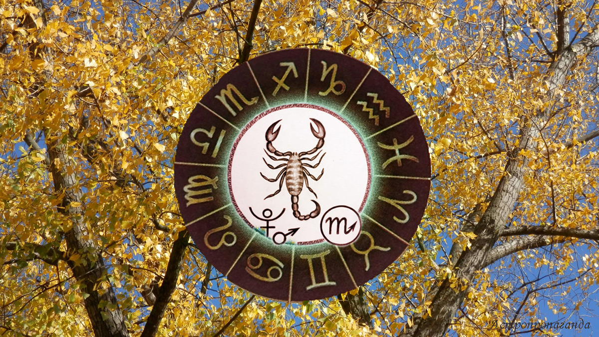 Гороскоп для Скорпиона с 6 октября по 2 ноября 2025.