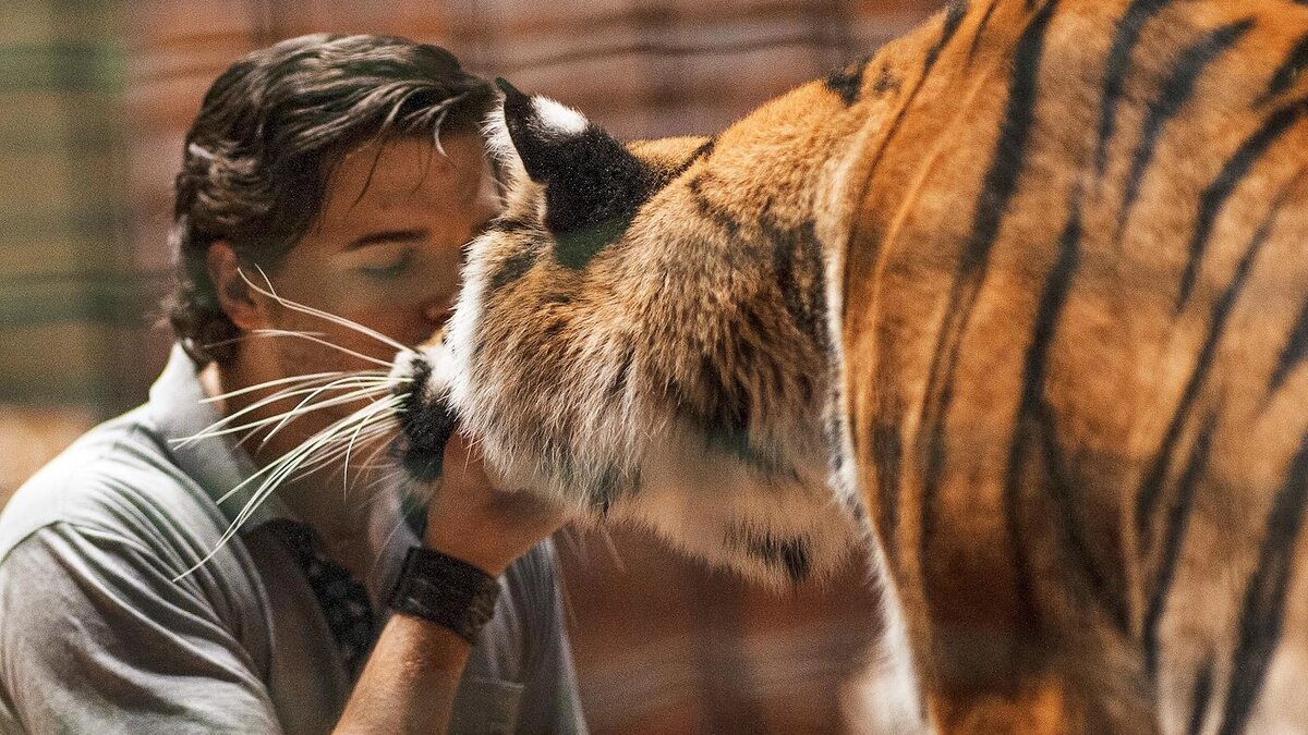   Наталья Львова / Коммерсантъ