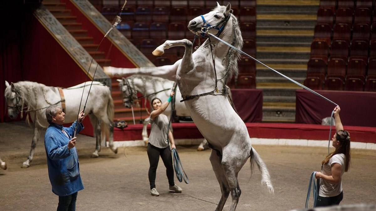   Наталья Львова / Коммерсантъ