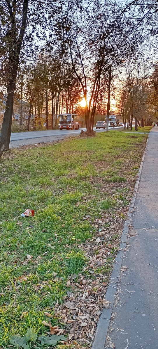 Осеннее солнце.