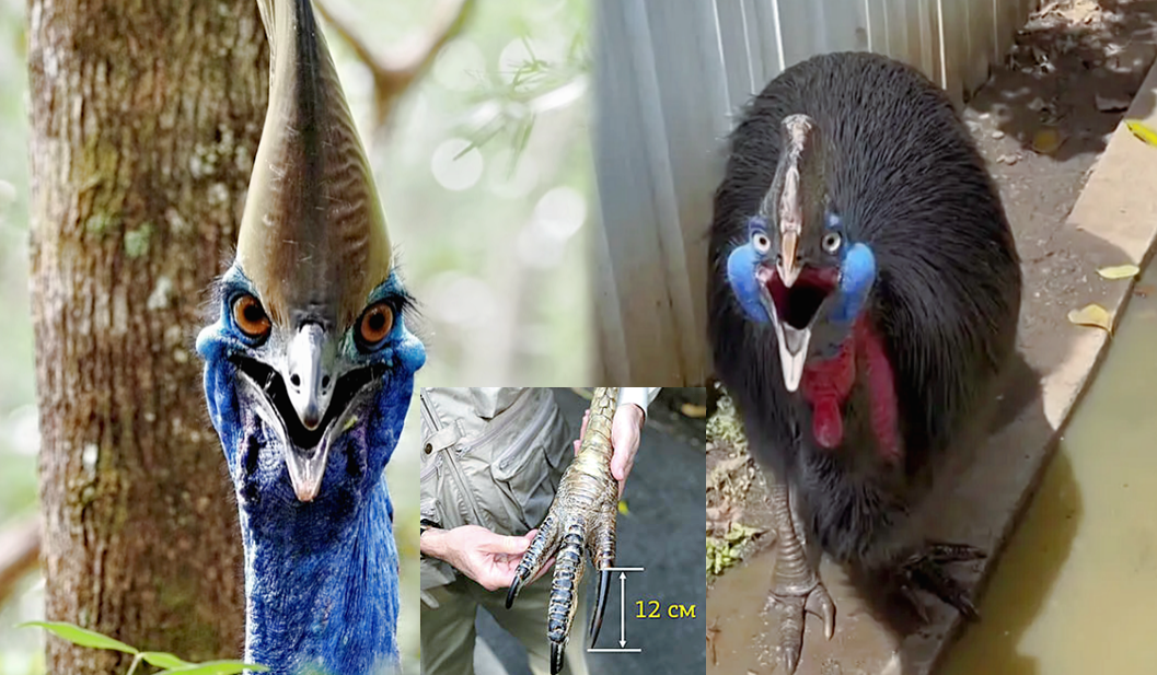 Опасный маникюр.