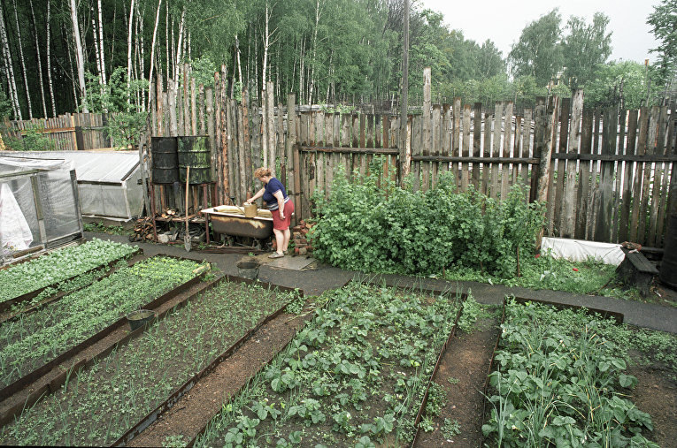 © РИА Новости. , Олег Ласточкин 