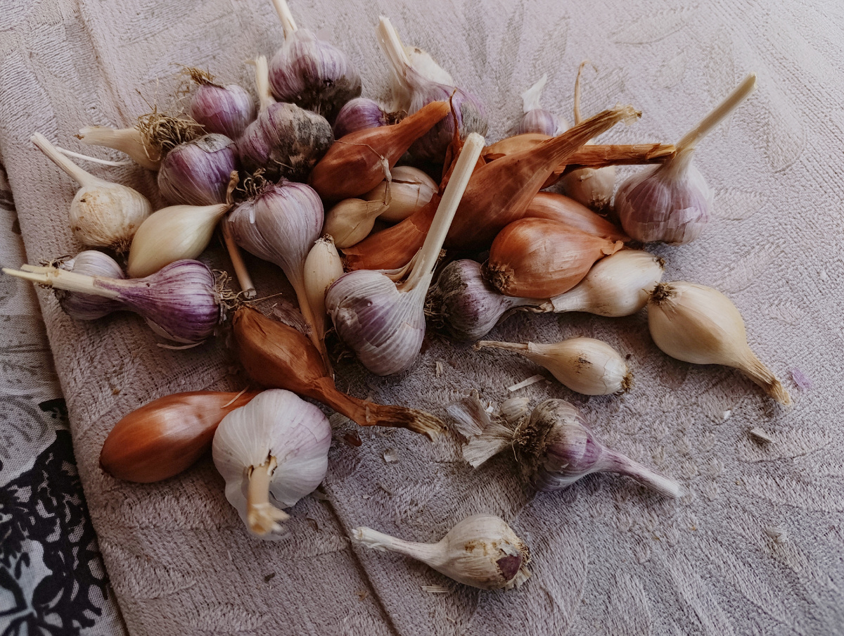 Для иллюстрации 