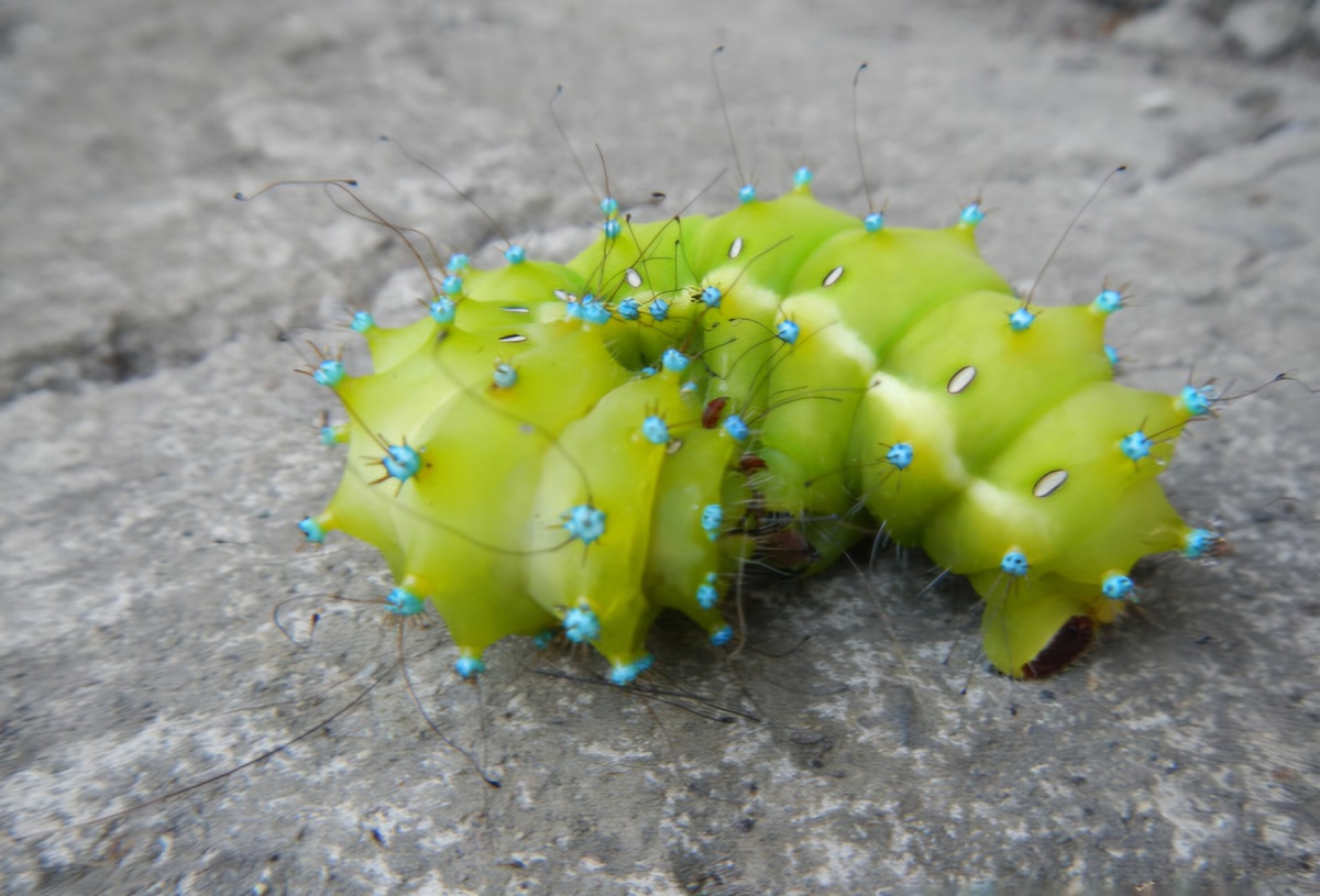 Фото взято из открытых источников