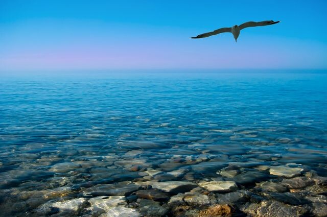 Взято из открытых источников.