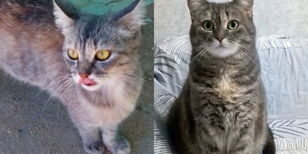 Приветы из дома💖