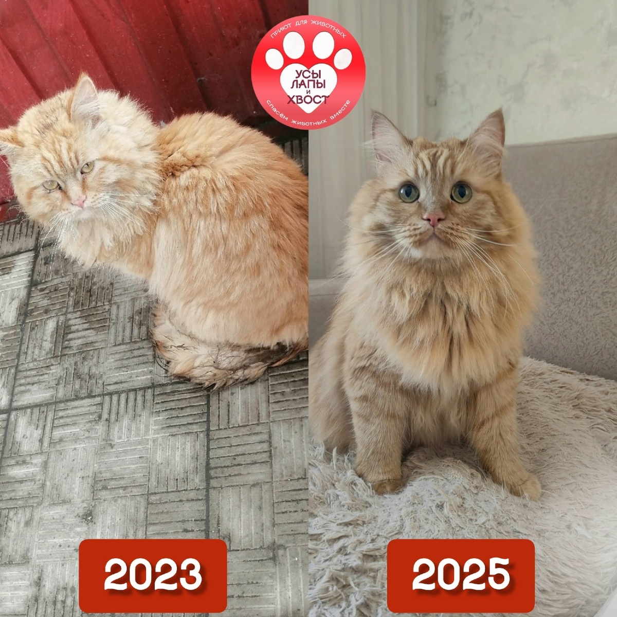 Преображение Ольгерда за 2 года🥰