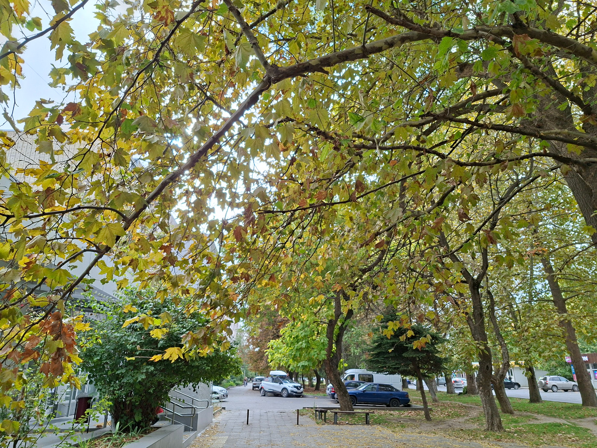 А в городе уже есть приметы осени