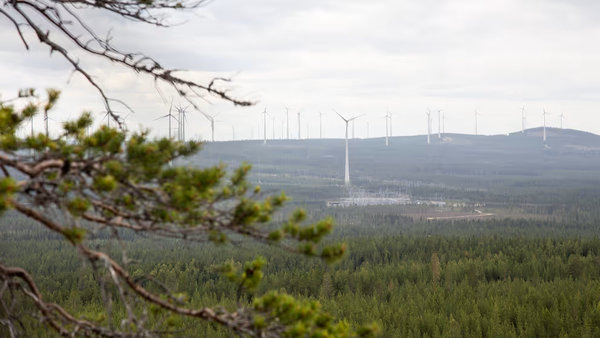    ЕС подаёт в суд на Швецию за провал в борьбе с изменением климата