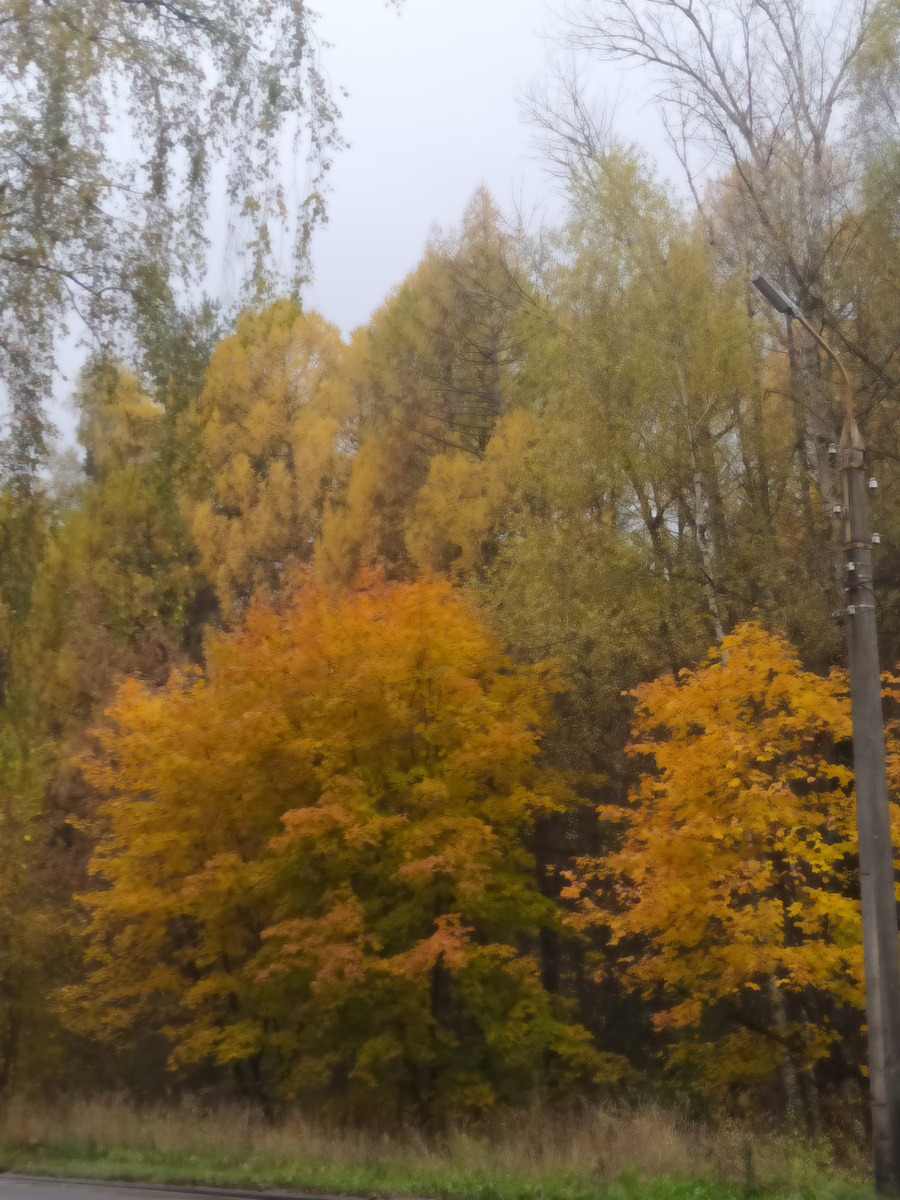 Осень просто прекрасна! 