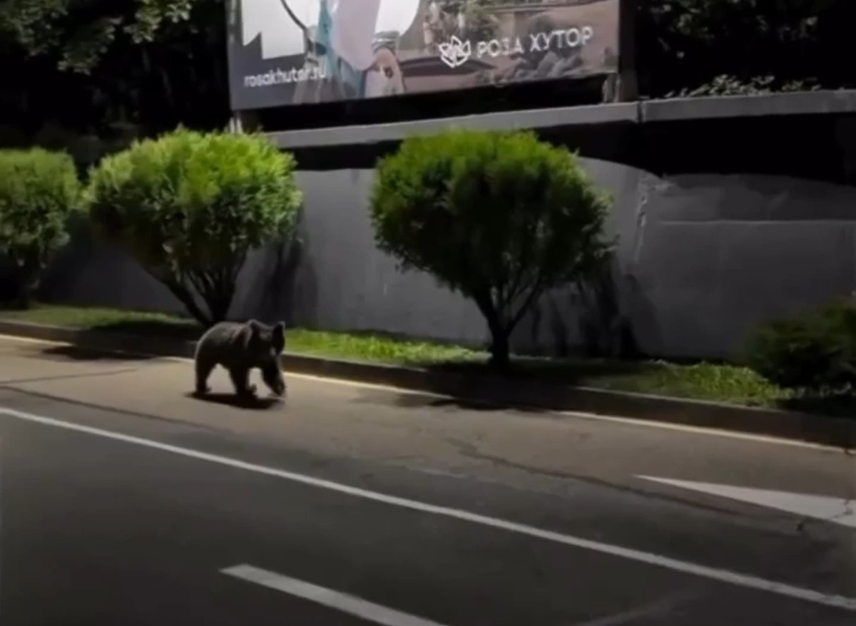   Скриншот видео из соцсетей