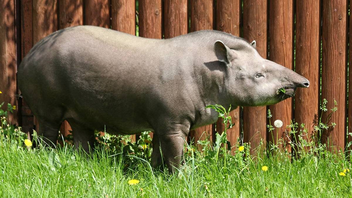    Фото: пресс-служба зоопарка