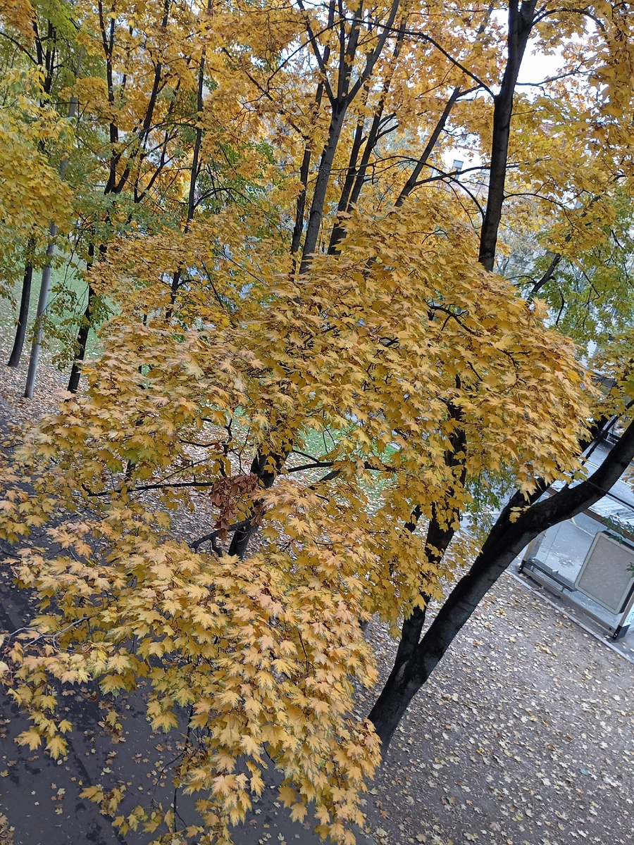 Фотография автора