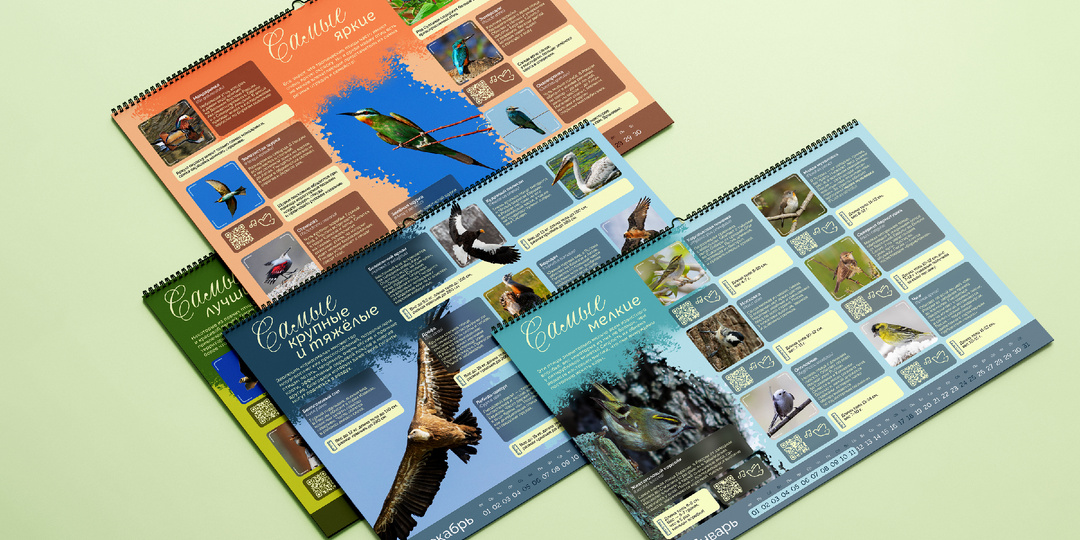 Предзаказ моего нового авторского календаря-справочника!