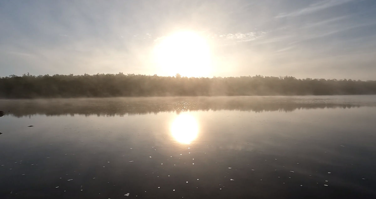 фото автора. листайте галерею.
