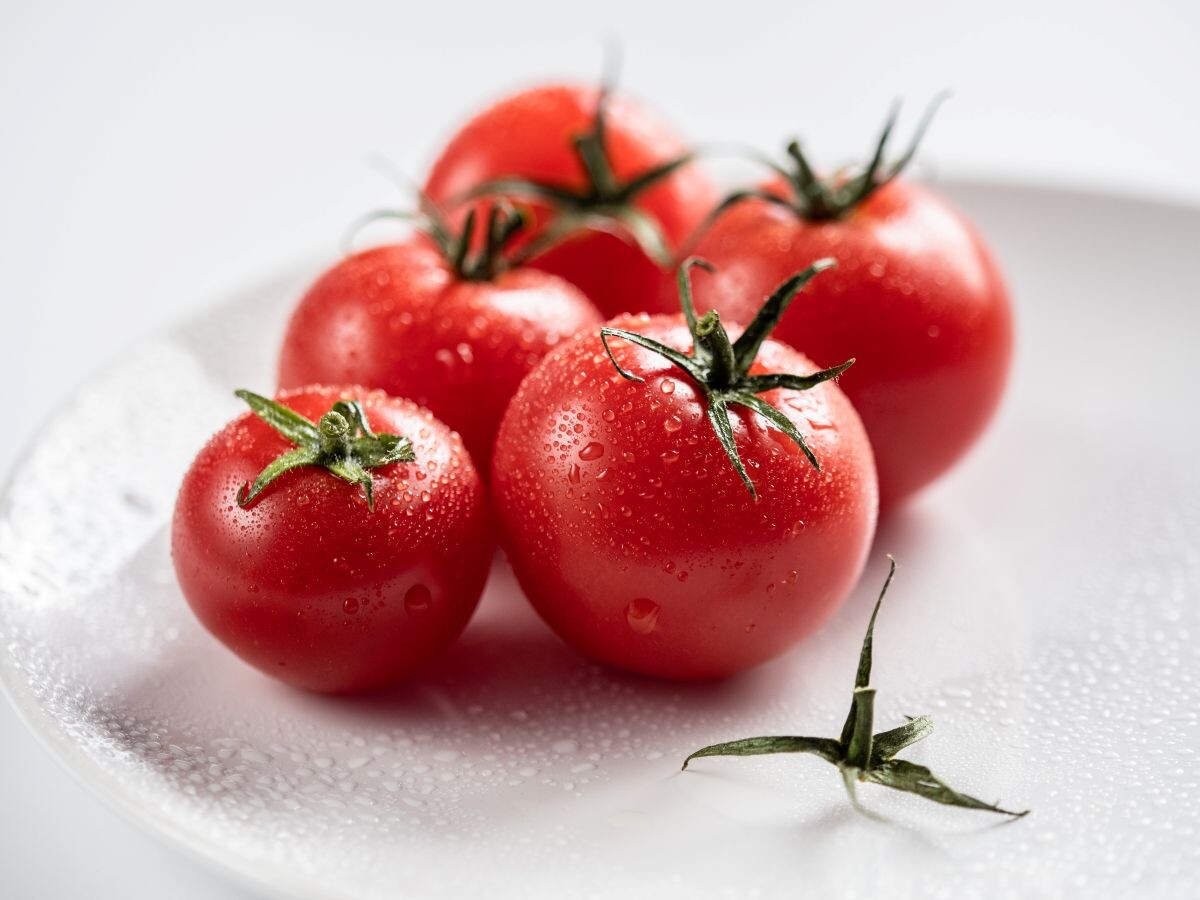 Фото: Александр Плонский / «Агроэксперт»