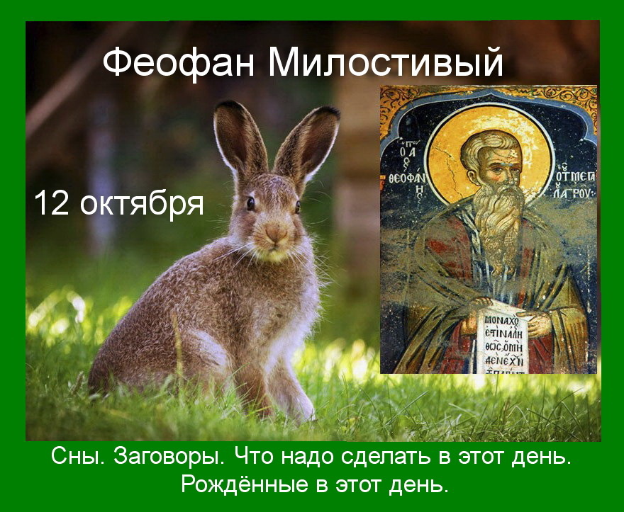 Источник : Яндекс картинки.